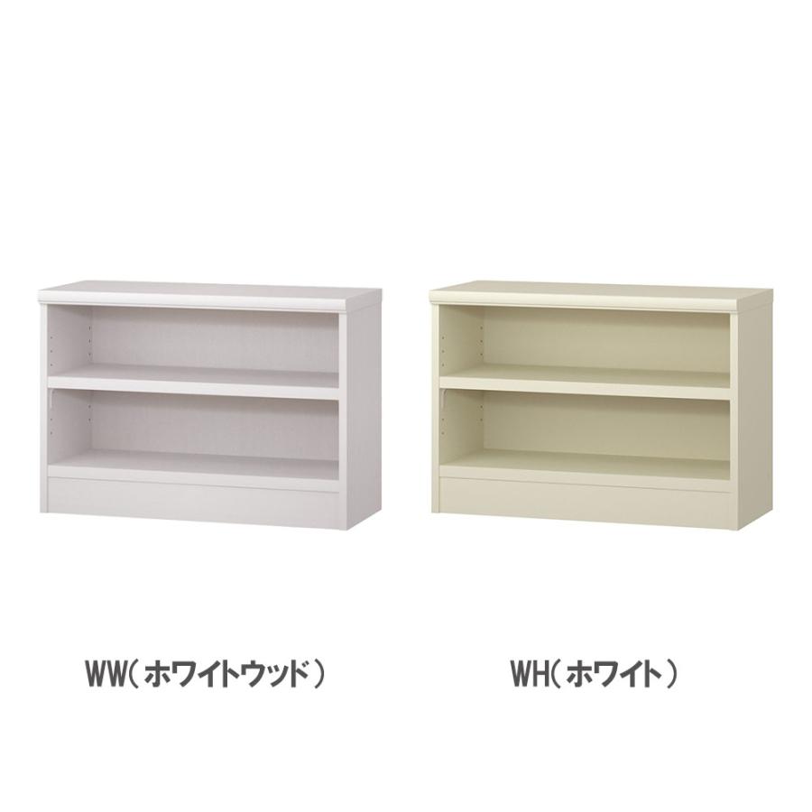 オーダー本棚 幅60-70×奥行31×高さ49cm タフ 書庫 書棚 オープン書庫 オフィス収納 キャビネット おしゃれ 北欧 オーダーメイド サイズオーダー T5060-70R_9