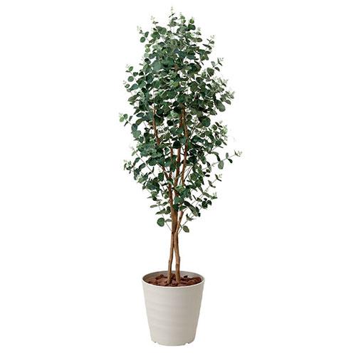 ユーカリ 造花 観葉植物 オフィス 光触媒 送料無料 417a340 19 お待たせ