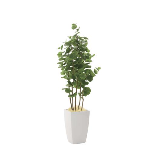 割引特販 アーバンシーグレープ 180cm 幅60 奥行60 高さ180cm 人工観葉植物 光触媒 鉢植えタイプ 造花 インテリアグリーン 人工植物 インテリア小物 942a7 21 ショッピング最安値 Rudra Enterprise Co In