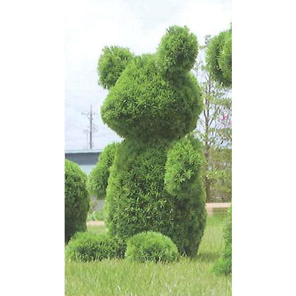 soldout ベアー 観葉植物 72cm ガーデニング 動物型 WA5406-360