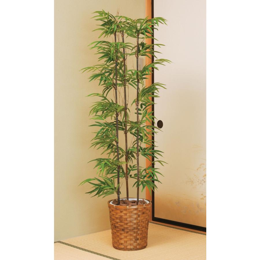 Soldout 黒竹 観葉植物 150cm 鉢付き 和室 フェイク Wc3503 250 Wc3503 250 Lookit オフィス家具 インテリア 通販 Yahoo ショッピング
