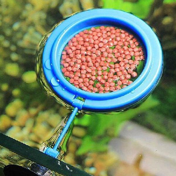 餌入れ 水槽 枠 給餌リング 浮遊性 餌の広がり防止 アクアリウム 