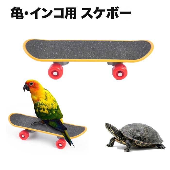 亀 スケボー インコ おもちゃ スケートボード 鳥用おもちゃ フィンガー