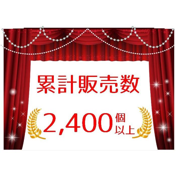 サンシェード 車 フロント 収納袋つき パッと開く フロントガラス 車用