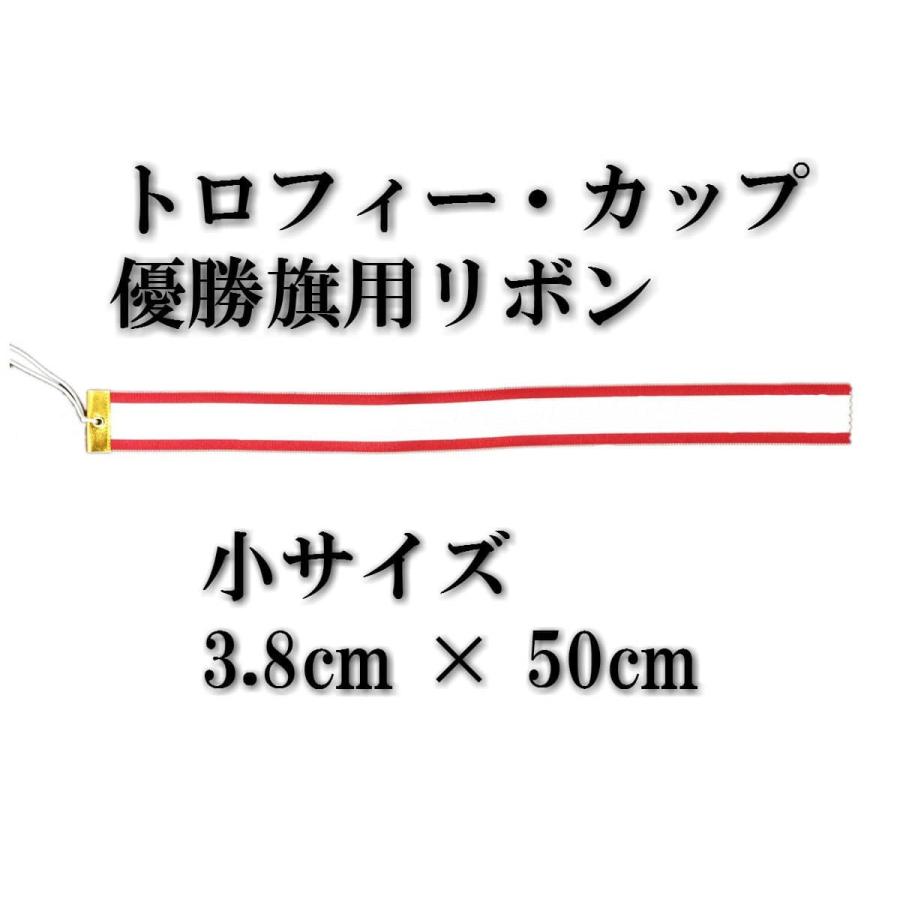 トロフィー リボン ペナント 約 （3.8 × 50cm）まとめ買い10本入｜lool-shop｜02