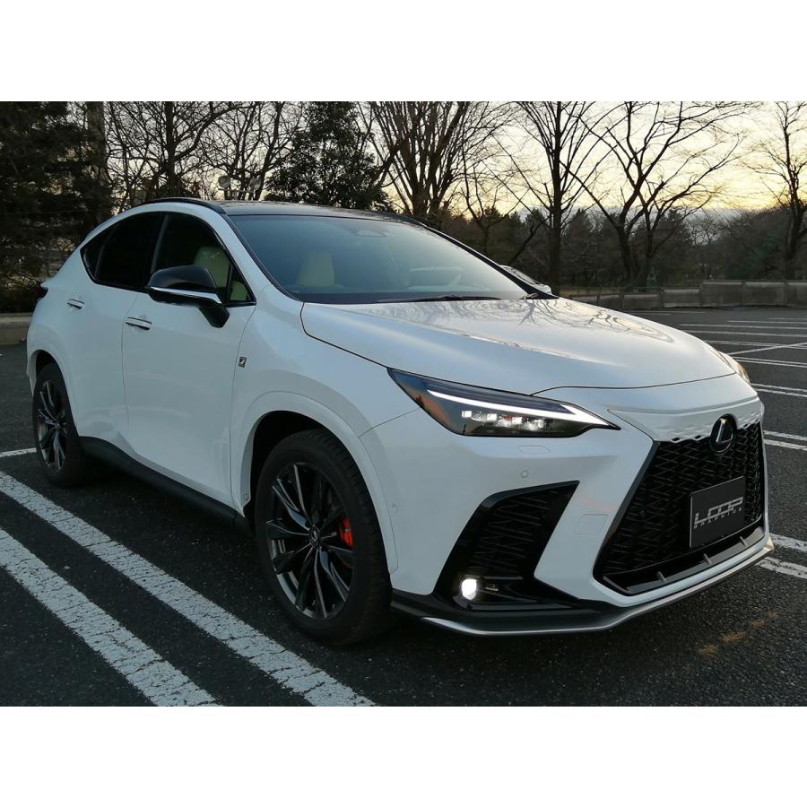 アレックスグリル LEXUS NX F SPORT 20系専用 純正ボディカラー近似色塗装済品 ■ NEW RXタイプ フロントグリルカバー ループグラフィクス |  | 06
