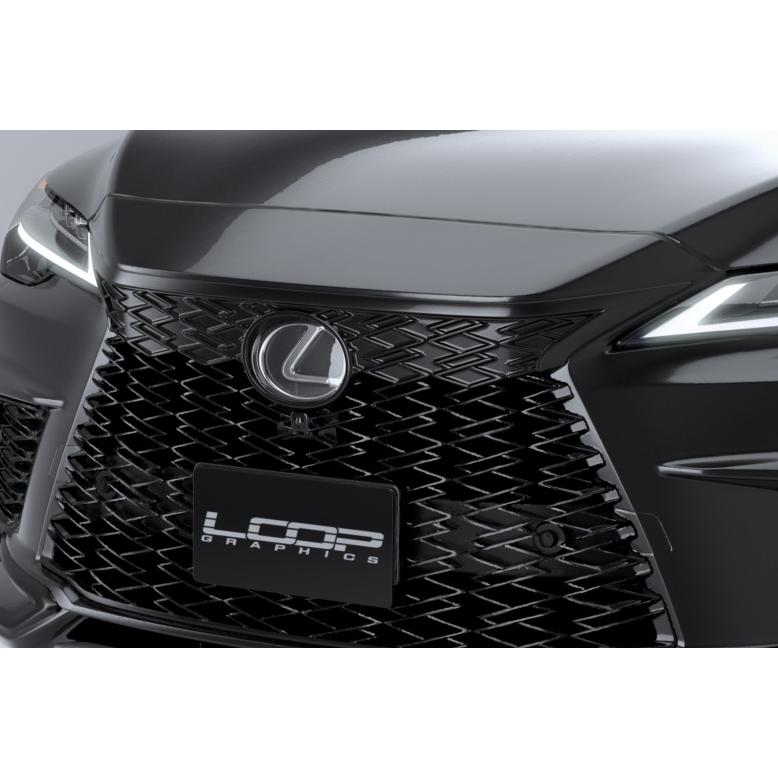 アレックスグリル LEXUS RX F SPORT LA/LH系専用 ※2トーン塗装
