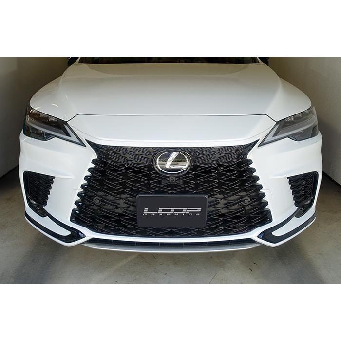 【期間限定】 LEXUS アレックスグリル RX ※2トーン塗装 LA/LH系専用 SPORT F パーツ