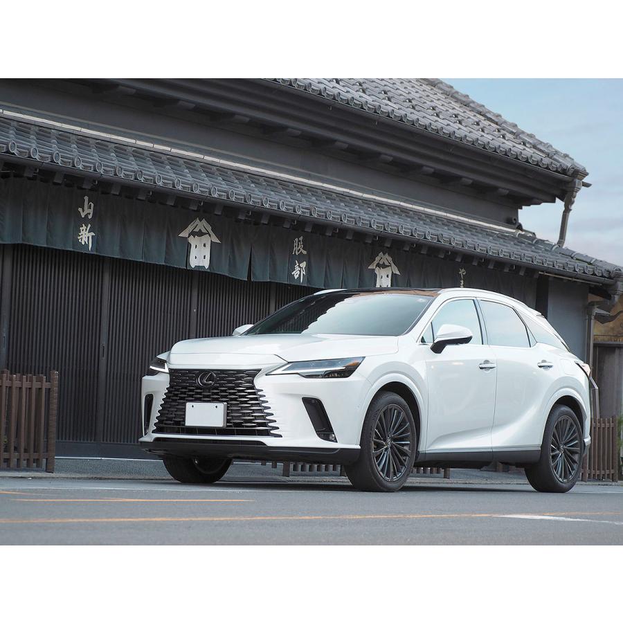 ループグラフィクス アレックスグリル LEXUS RX F SPORT 新品 白 レクサスRX(LA/LH系)用 アレックスグリル(ループグラフィックス