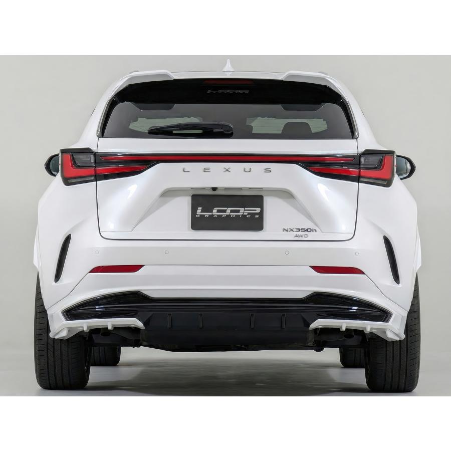 アレックスパフォーマンス リアアンダーディフューザー LEXUS NX F