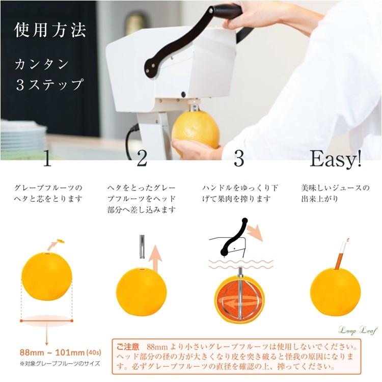 カジュッタ ジューサー Amazon | 【正規代理店】果汁搾り機カジュッタ CJT3-04