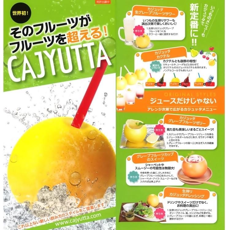 loopleaf_5-0738-0103_5