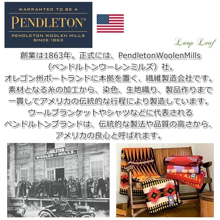 PENDLETON ペンドルトン テーブルクロス 170cmｘ134cm LB017 PVD-06 最高の品質の