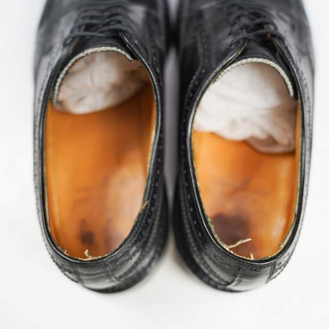 FLORSHEIM フローシャイム Royal Imperial LONG WINGTIP KENMOOR