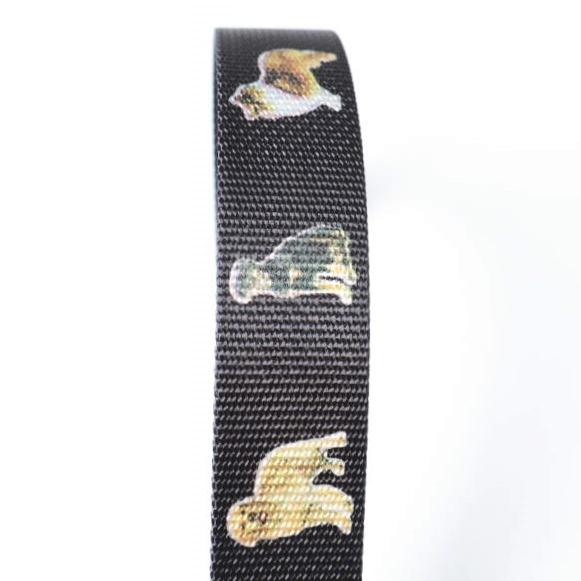 Suspender Factory of San Francisco x BEAMS BOY 別注 アメリカ製 DOG RING BELT ドッグ ナイロンリングベルト ブラック 犬 GIベルト |  | 04