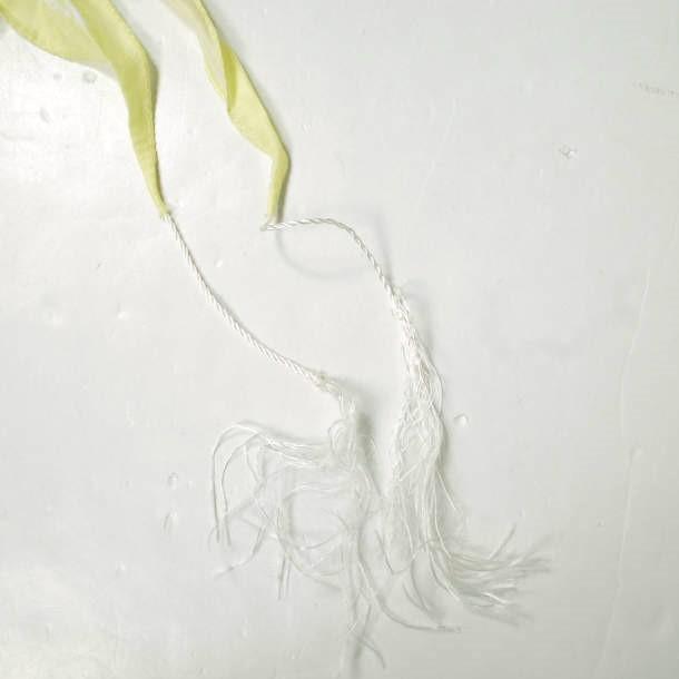 新品 Acne Studios アクネストゥディオズ 20SS VARANA ペイズリープリント コットンシルクポプリンスカーフ YELLOW ストール g19801 |  | 09