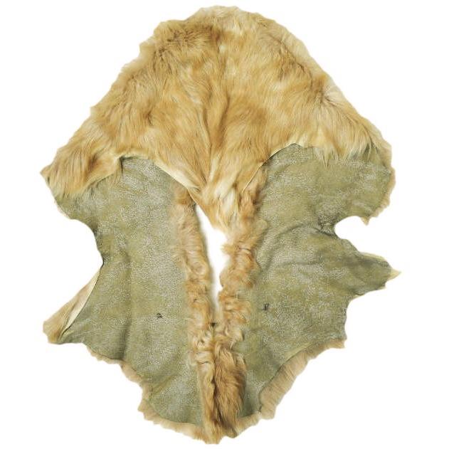 GUSHLOW＆COLE ガシュロウ＆コール イギリス製 ムートンストール ブラウン ティペット ファー ケープ マフラー g22731 |  | 01