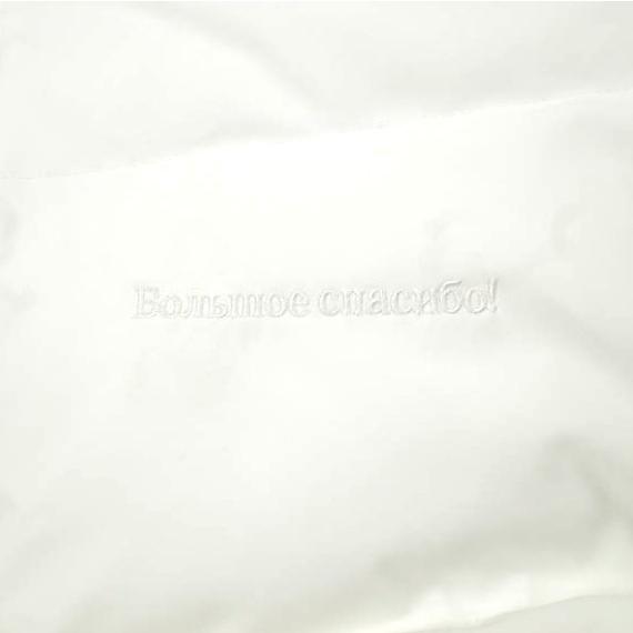Danke Schon ダンケシェーン WEB＆DEPOT限定 LAYER NYLON BACKZIP BLOUSON レイヤーナイロンバックジップブルゾン WHITE サンプル品 中綿 |  | 04