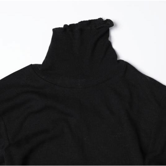 新品 PRANK PROJECT プランクプロジェクト 25AW Pure Merino Wool Turtleneck Top ピュアメリノウールタートルトップ 31252415102 BLACK |  | 05