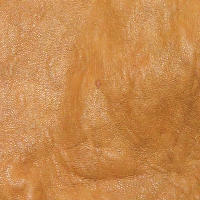 ニトカ nitca レザーショルダーバッグ ブラウン カバン |  | 07