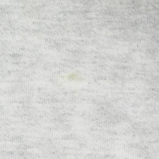 ザ ファブリック チャンピオン THE FABRIC x Champion 別注 ONES HOODIE リバースウィーブ スウェットプルオーバーパーカー M グレー THE UNION |  | 15