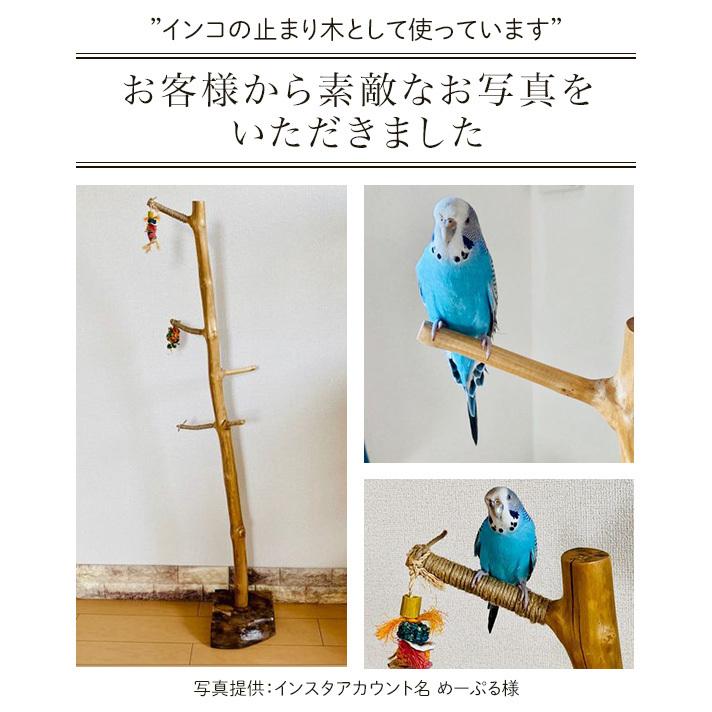 ポールハンガー ハンガーラック コートハンガー 帽子掛け カバン ポールハンガー ハンガーラック コートハンガー 帽子掛け カバン