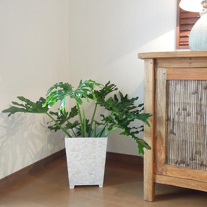 ダストボックス おしゃれ シェル ゴミ箱 くず入れ 収納 雑貨 ホテル