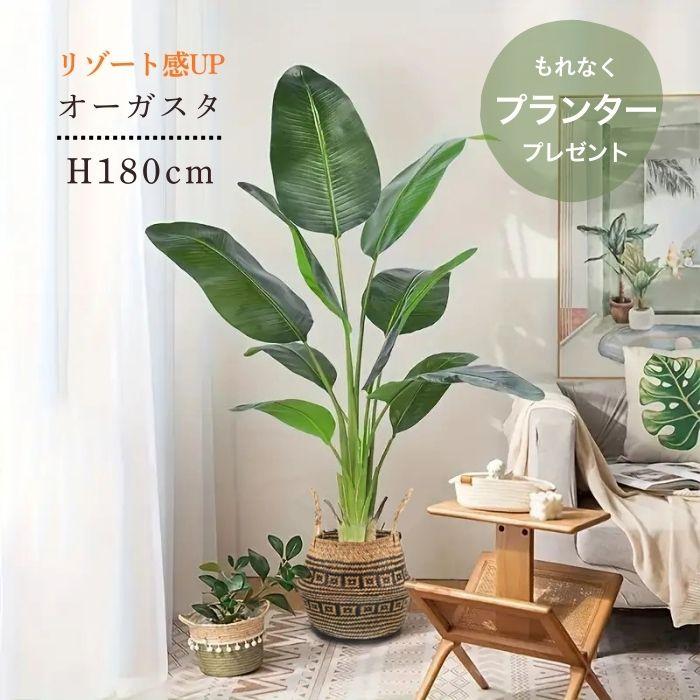 フェイクグリーン 大型 オーガスタ 観葉植物 鉢付き リーフ インテリア