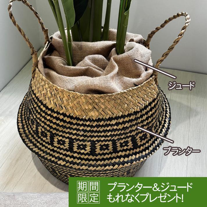 フェイクグリーン 大型 オーガスタ 観葉植物 鉢付き リーフ インテリアグリーン 人工樹木 アーティフィシャルグリーン おしゃれ ポット 人工観葉植物 屋外 180cmの画像