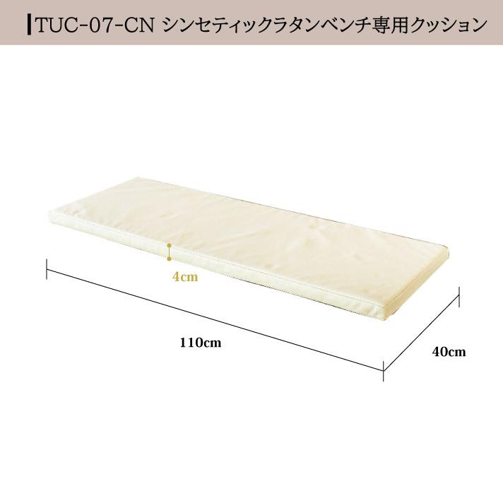 アジアン家具 ベンチ 椅子 屋外 ガーデンチェア ベンチチェア 用 クッション TUC-07チェア用クッション [Tuban トゥバン] 【TUC-07-CN】 |  | 04