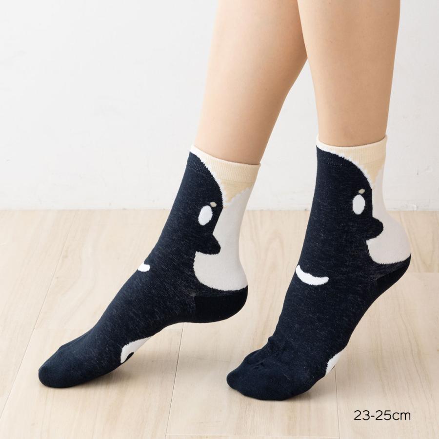 食べられちゃった シャチ クルーソックス 23-25cm レディース 靴下 海