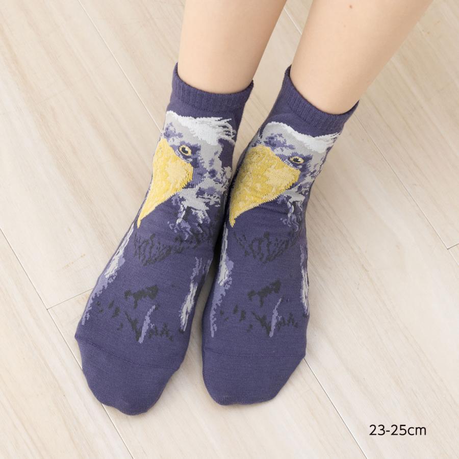 アニマル ハシビロコウ スニーカー丈 23-25cm レディース 靴下 動物 D1PK | ブランド登録なし