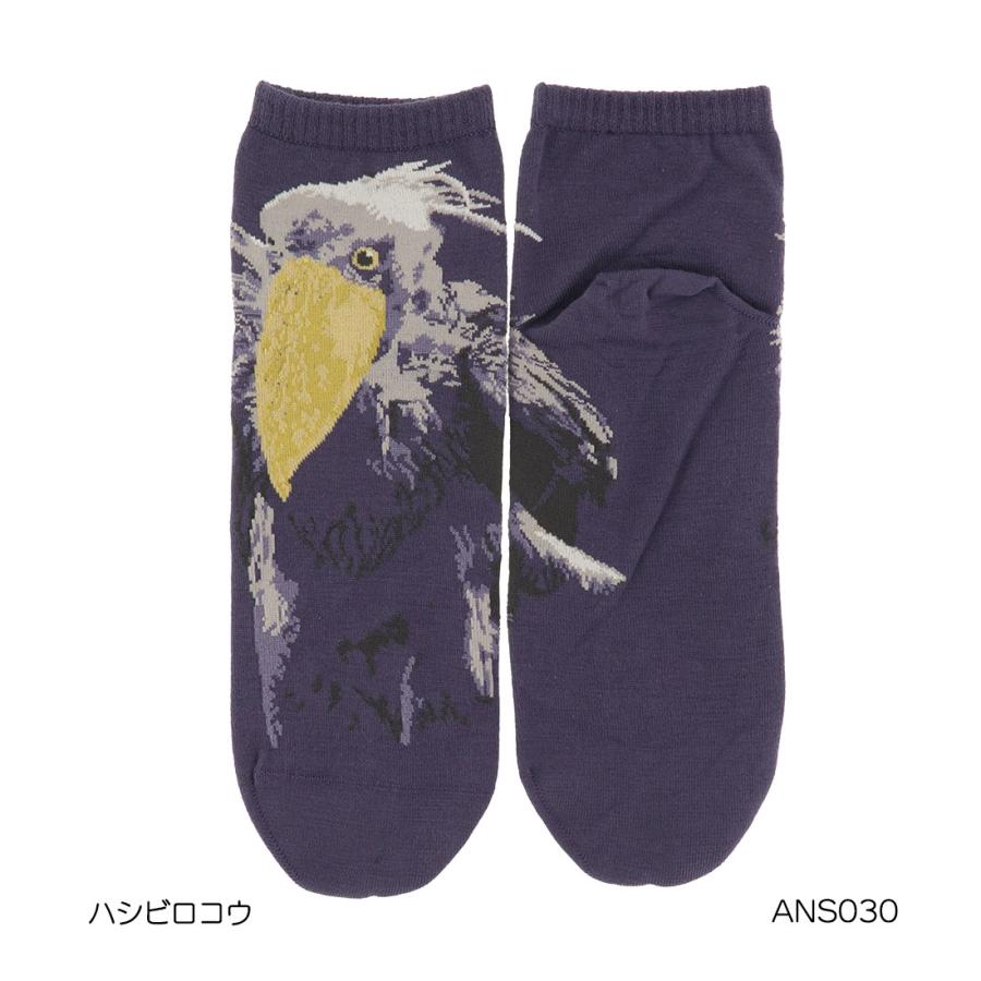アニマル ハシビロコウ スニーカー丈 23-25cm レディース 靴下 動物 D1PK | ブランド登録なし | 03