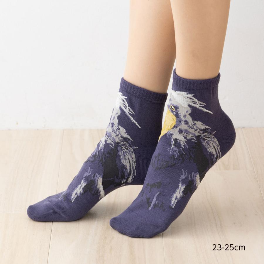 アニマル ハシビロコウ スニーカー丈 23-25cm レディース 靴下 動物 D1PK | ブランド登録なし | 01