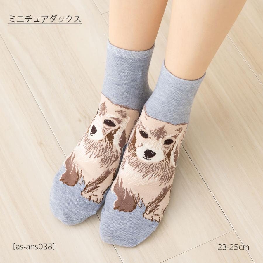 ミニチュアダックス 犬柄 ロークルー丈ソックス 23-25cm レディース