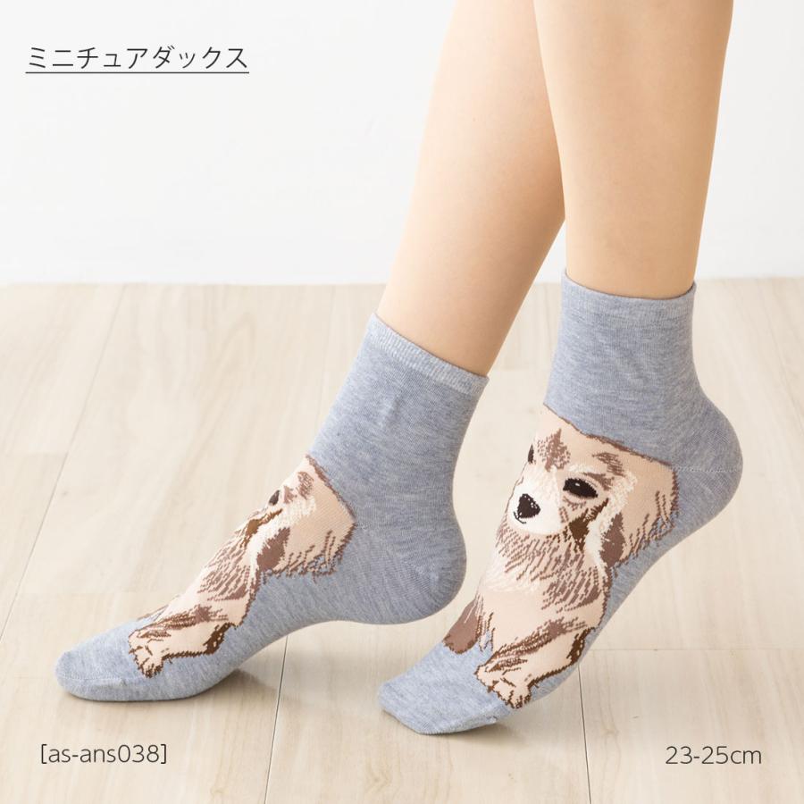 ミニチュアダックス 犬柄 ロークルー丈ソックス 23-25cm レディース