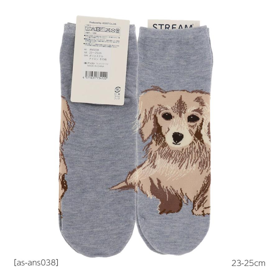 ミニチュアダックス 犬柄 ロークルー丈ソックス 23-25cm レディース