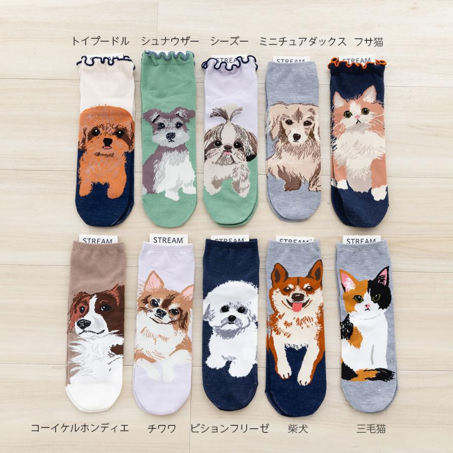 三毛猫 猫柄 ロークルー丈ソックス 23-25cm レディース靴下 靴下 動物