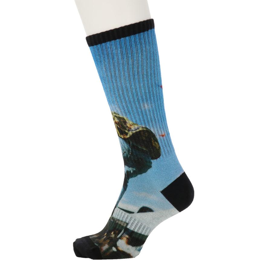 GUNZE BODY WILD プリントソックス スカイブルー 25-27cm メンズ
