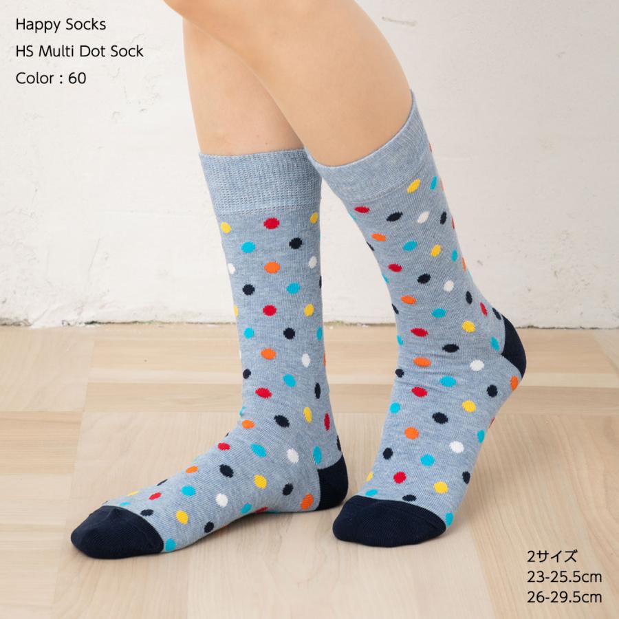 HappySocks HS マルチドット ソックス (色番号60)(2325.5cm・2629.5cm) 靴下 国内正規品 ハッピーソックス Multi Dot Sock hs