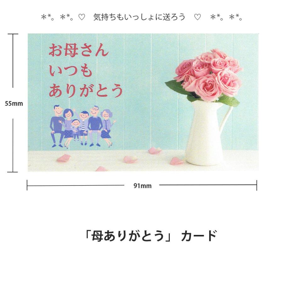 いたわり設計 天然シルクのぬくもり 内側シルク ハイソックス 22-24cm 三重編み 日本製 レディース 靴下 | ブランド登録なし | 16