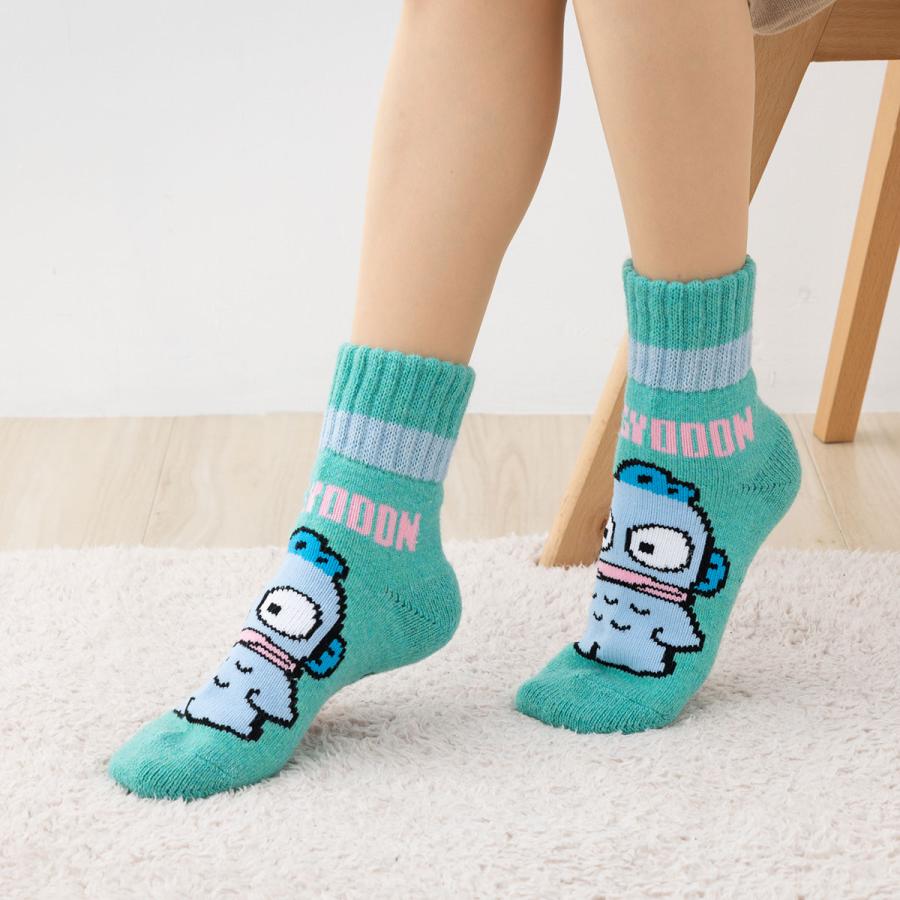 ホカロン ホームロークルーソックス 裏パイル ハンギョドン柄 青 23