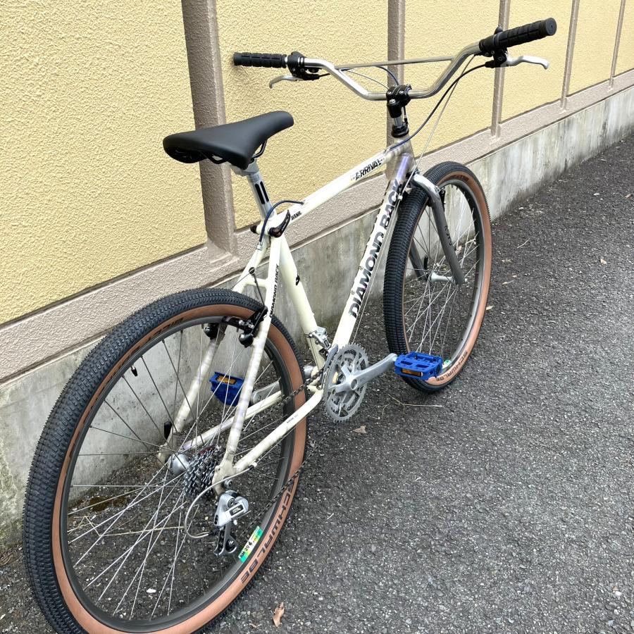 Panasonic 【OLD MTB】Diamondback :1989 ARRIVAL CUSTOM Panasonic 【OLD MTB】Diamondback :1989 ARRIVAL CUSTOM