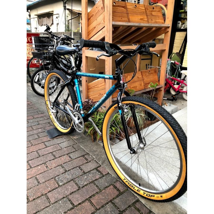 Bianchi 【OLD MTB】RALEIGH USA :1989 TECHNIUM PEAK 1989 Bianchi 【OLD MTB】RALEIGH USA :1989 TECHNIUM PEAK 1989