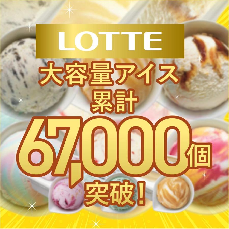 ロッテ（LOTTE） アイスクリーム 大容量 業務用 公式 小さなアイス屋