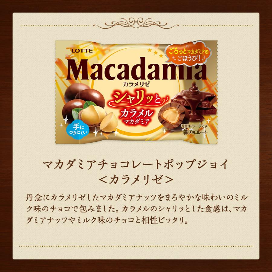 ロッテ（LOTTE） チョコレート ナッツ 公式 ナッツチョコ セレクション