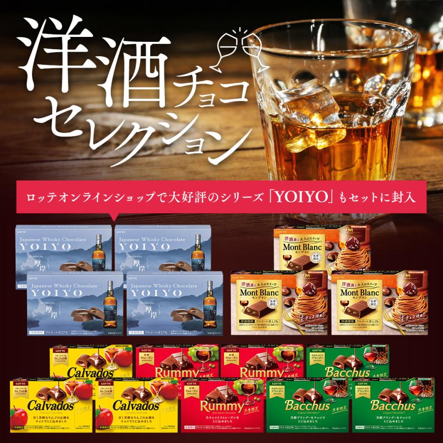 ロッテ（LOTTE） チョコレート 詰め合わせ YOIYO ラミー バッカス