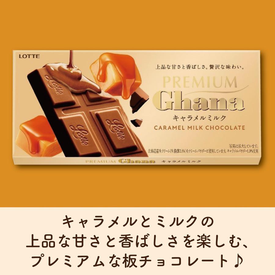 ロッテ（LOTTE） チョコレート まとめ買い ギフト 公式 プレミアム