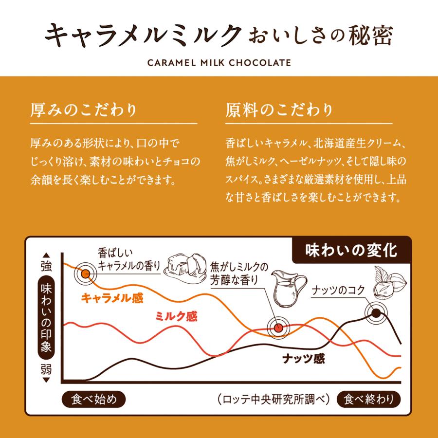 ロッテ（LOTTE） チョコレート まとめ買い ギフト 公式 プレミアム