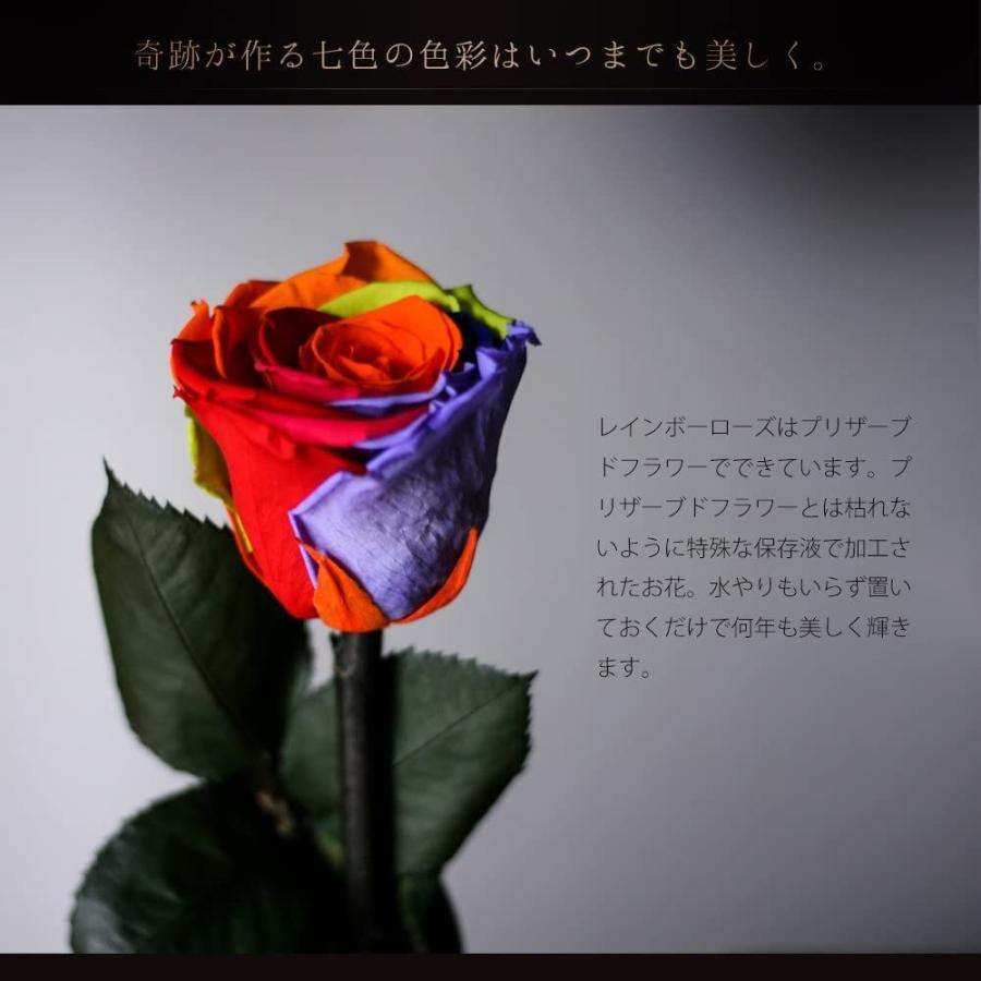 新発売 Rainbow Makefuture Rose 花言葉 アモローサ プレゼント プロポーズ 虹色 バラ 一輪 彼女 花 プリザーブドフラワー プリザーブドフラワー